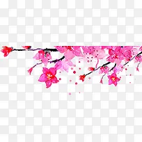 高清摄影手绘素描红色花