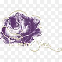 手绘紫色玫瑰