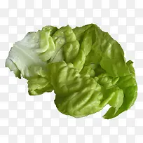 绿色健康菜叶