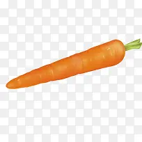新鲜蔬菜之红萝卜