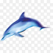 卡通游动的蓝色海豚