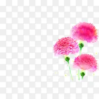 手绘粉色节日温馨康乃馨