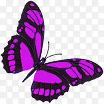 水彩紫色蝴蝶无框画