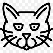 美国刚毛猫图标