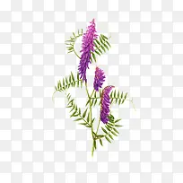 紫色手绘艺术植物