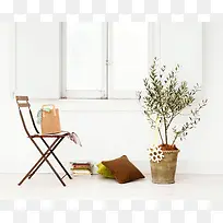 白色简约家具植物