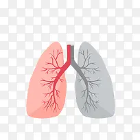矢量肺的对比图