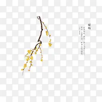 手绘花卉