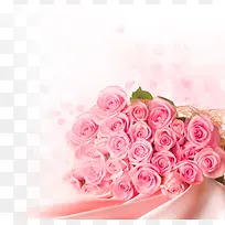 粉色高清花朵封面