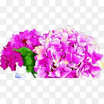高清摄影海报手绘花朵