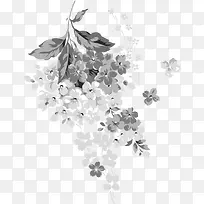 手绘灰色花朵植物