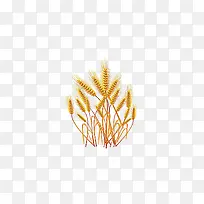 秋天农作物麦穗