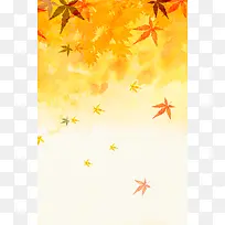 秋天叶子背景2