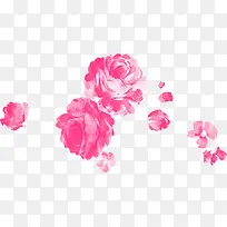 粉色花朵贵宾卡图片