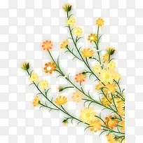 春日唯美花朵环保