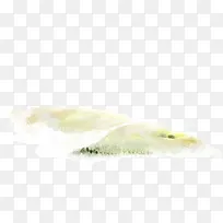 是户外美景草地梦幻