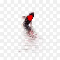 黑色锦鲤