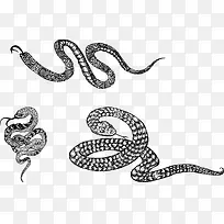 3款素描蛇矢量图