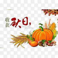 收货秋日