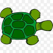 乌龟 绿色 动物
