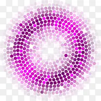 紫色亮片圆环