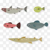 海洋生物