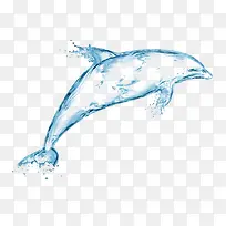 蓝色透明水流海豚