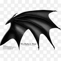 黑色蝙蝠翅膀背景