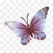 紫色大翅膀蝴蝶