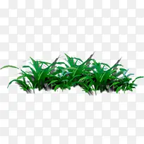 绿色高清手绘植物