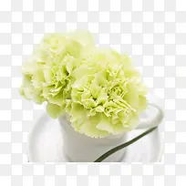 绿色惬意生活花朵杯子