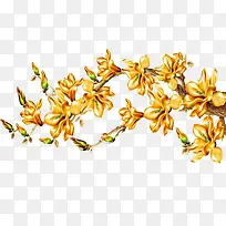 金色花卉插画景观