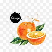 彩绘水果画