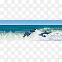 简约唯美海洋海豚banner创意海报设计