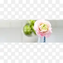 一簇花