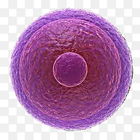 紫色生物医学细胞图示