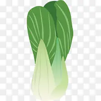 手绘白菜绿色卡通