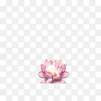 手绘莲花