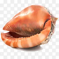 海螺