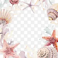 海螺珊瑚