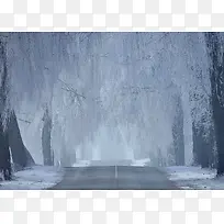 雪后街道树森风景