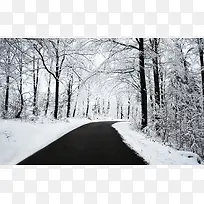 白色雪后树林街道