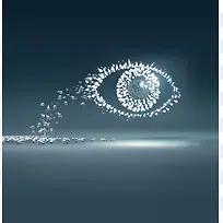 碎石头拼成的眼珠