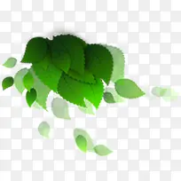 绿色梦幻艺术树叶