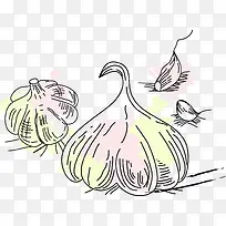 手绘蒜