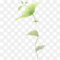 绿色手绘植物朦胧