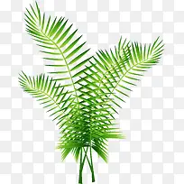 矢量绿色棕榈树装饰