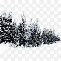 雪树树枝海报设计