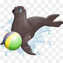 棕色海狮
