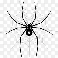 蜘蛛卡通矢量图